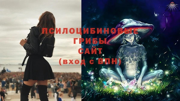 хмурый Вяземский
