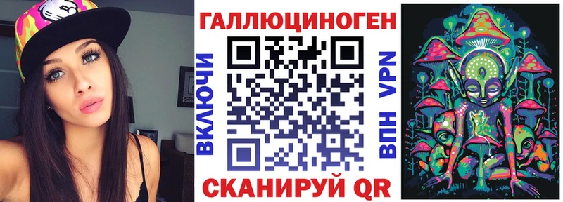 Псилоцибиновые грибы Psilocybine cubensis  Калязин 